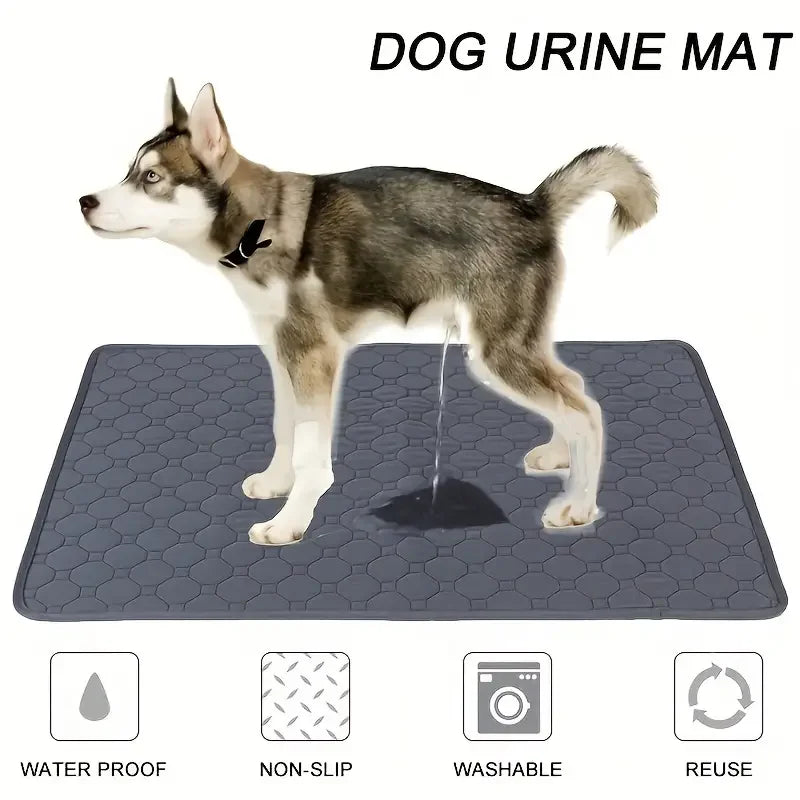 Reusable Dog Training Pad - Absorbent, Waterproof, Eco-Friendly