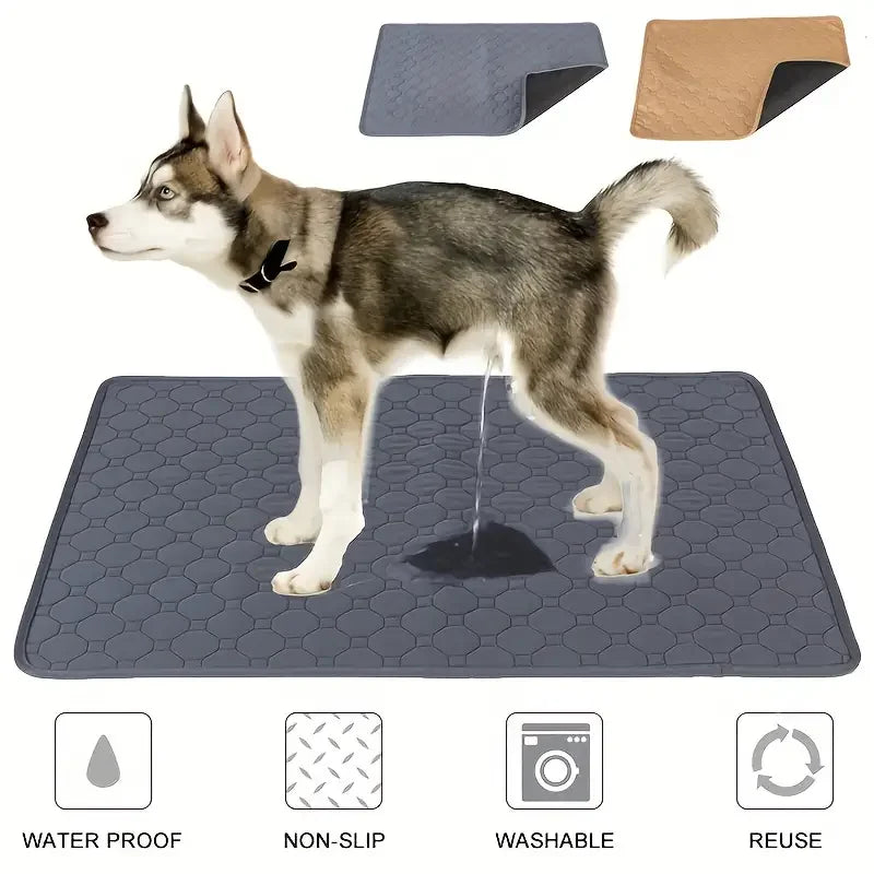 Reusable Dog Training Pad - Absorbent, Waterproof, Eco-Friendly