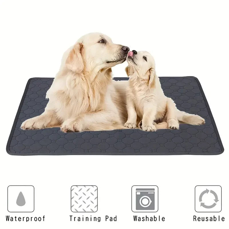 Reusable Dog Training Pad - Absorbent, Waterproof, Eco-Friendly